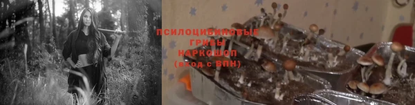 jwh Зерноград