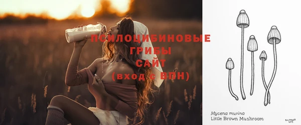 герыч Заволжск