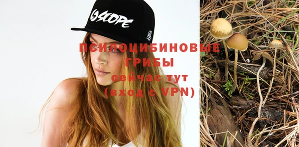 стаф Зеленокумск