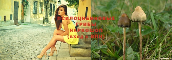 стаф Зеленокумск