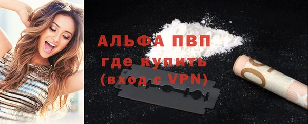 стаф Зеленокумск