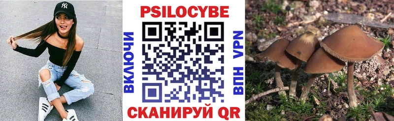 Галлюциногенные грибы GOLDEN TEACHER  Черкесск 